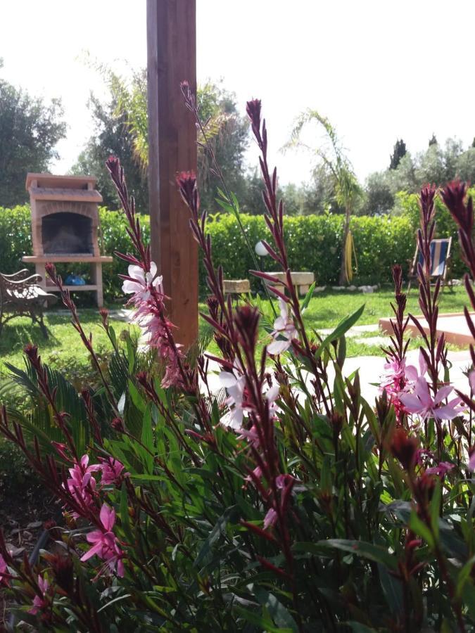 Casa Vacanza Assunta ميليندونيو المظهر الخارجي الصورة